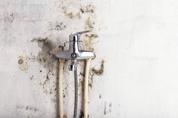 Best Water Damage Restoration  in Bridgeton, MO